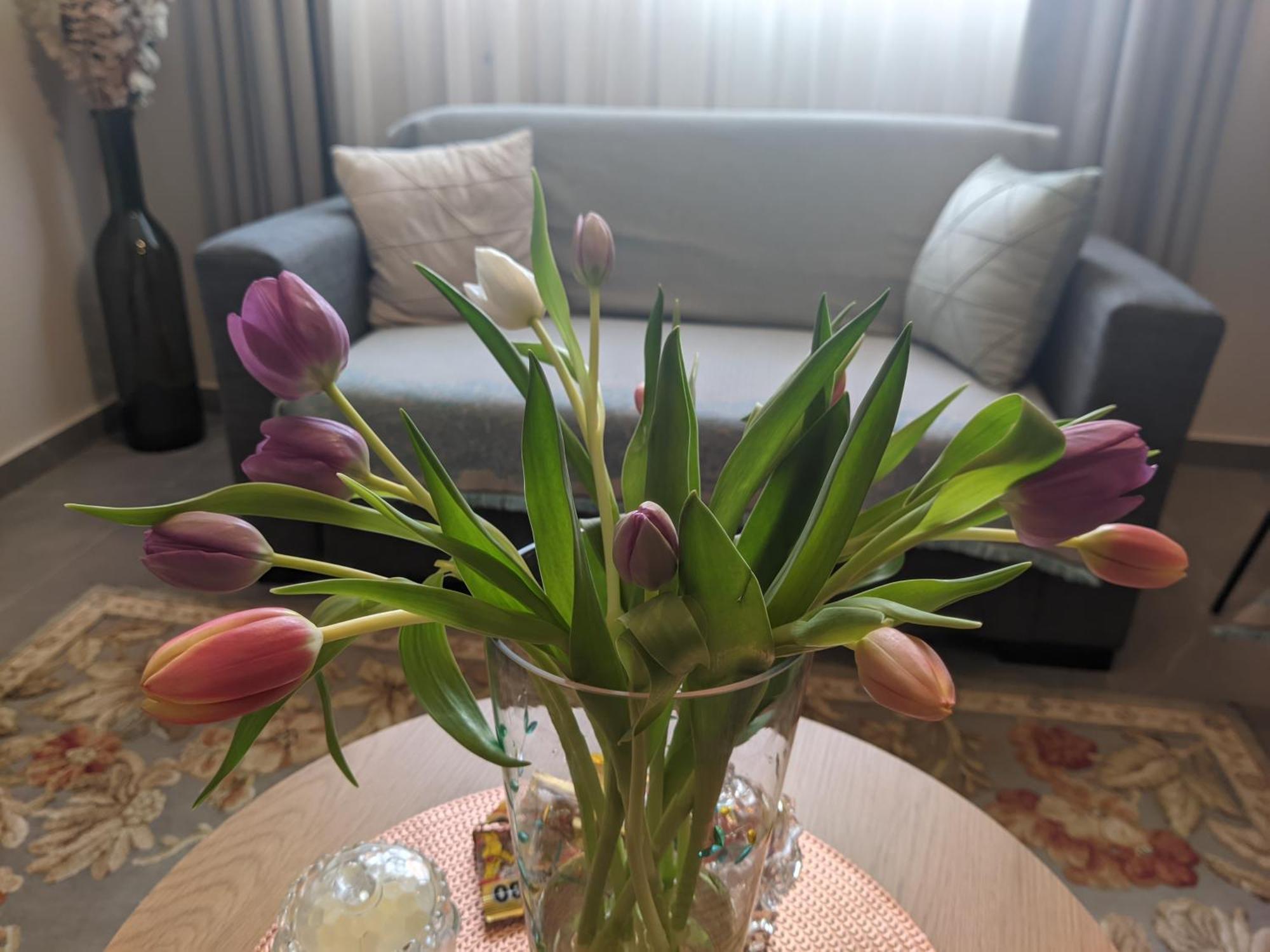 Aristo Central Apartments Janina Zewnętrze zdjęcie
