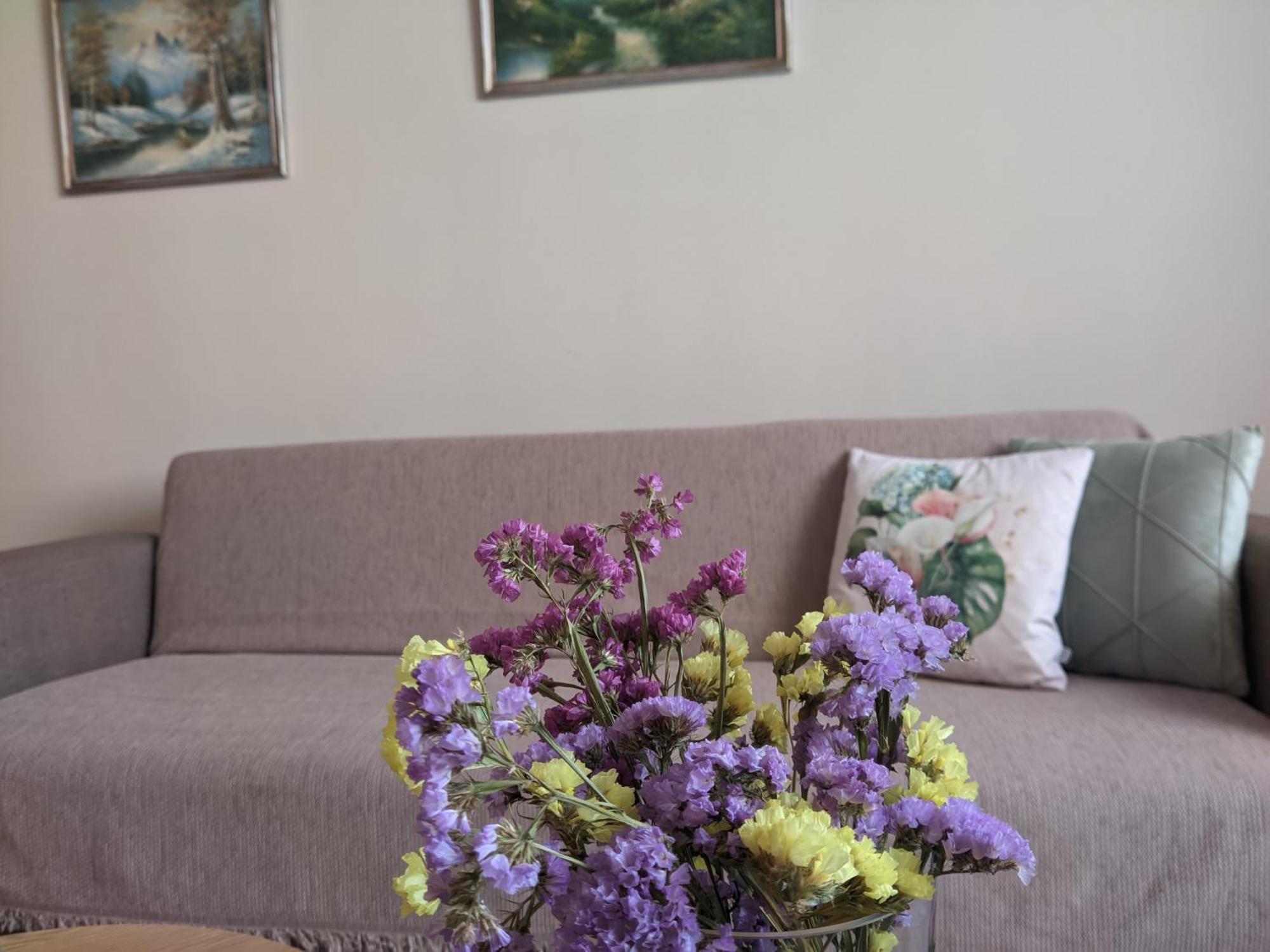 Aristo Central Apartments Janina Zewnętrze zdjęcie