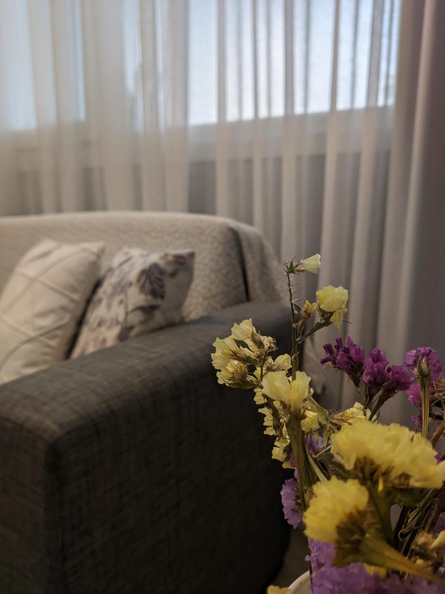 Aristo Central Apartments Janina Zewnętrze zdjęcie